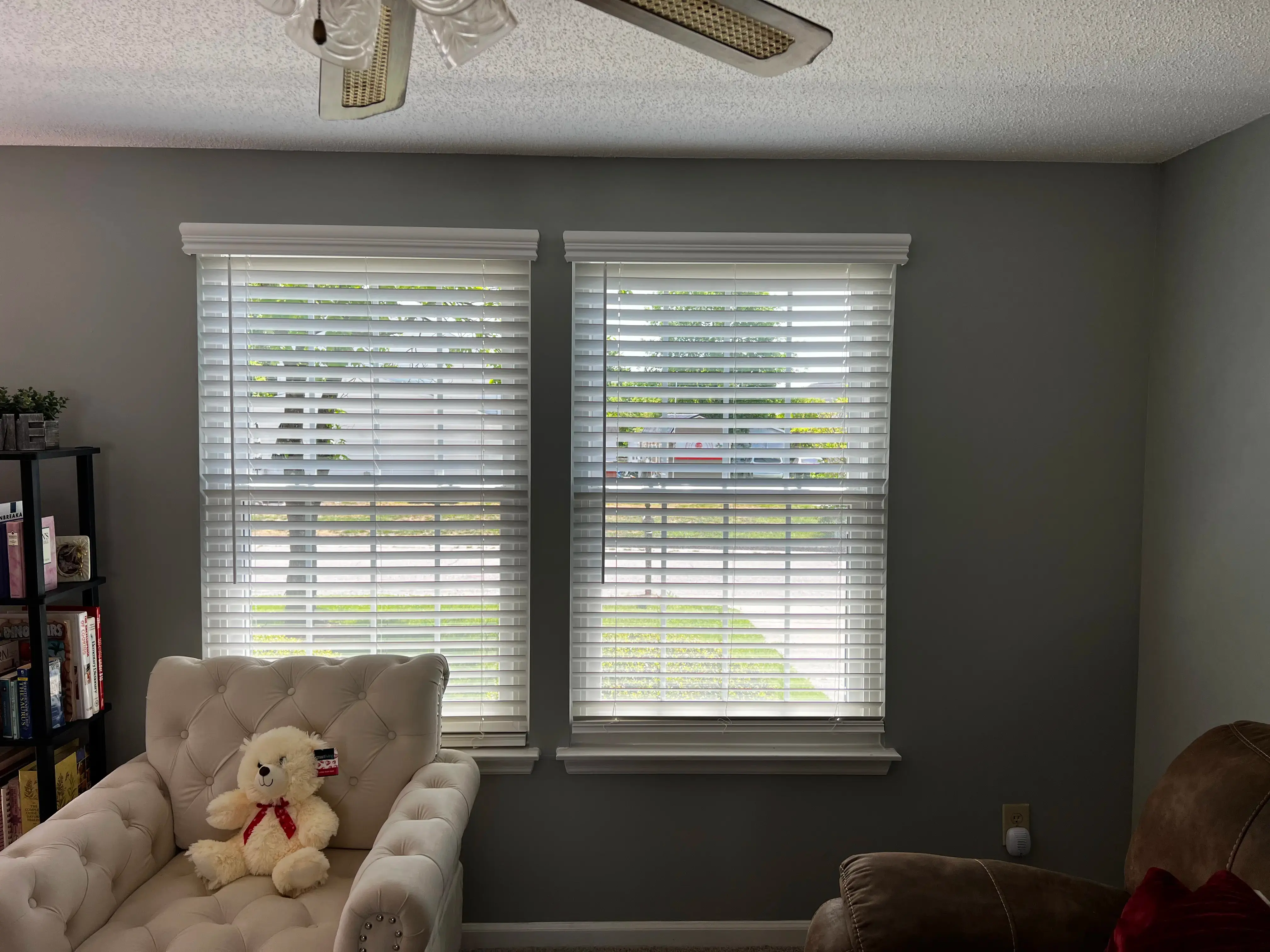 Window Blinds