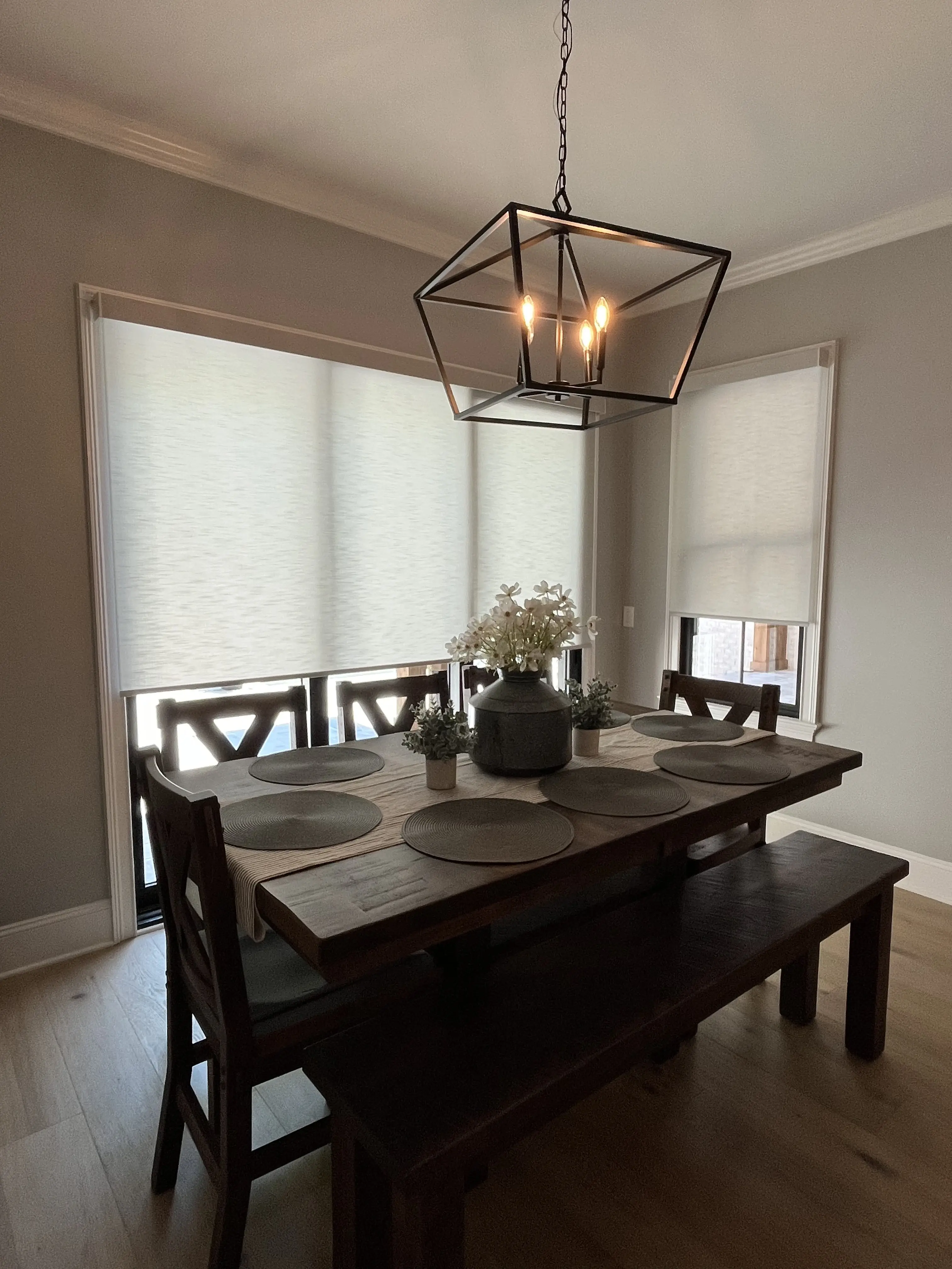Roller Shades - image 1