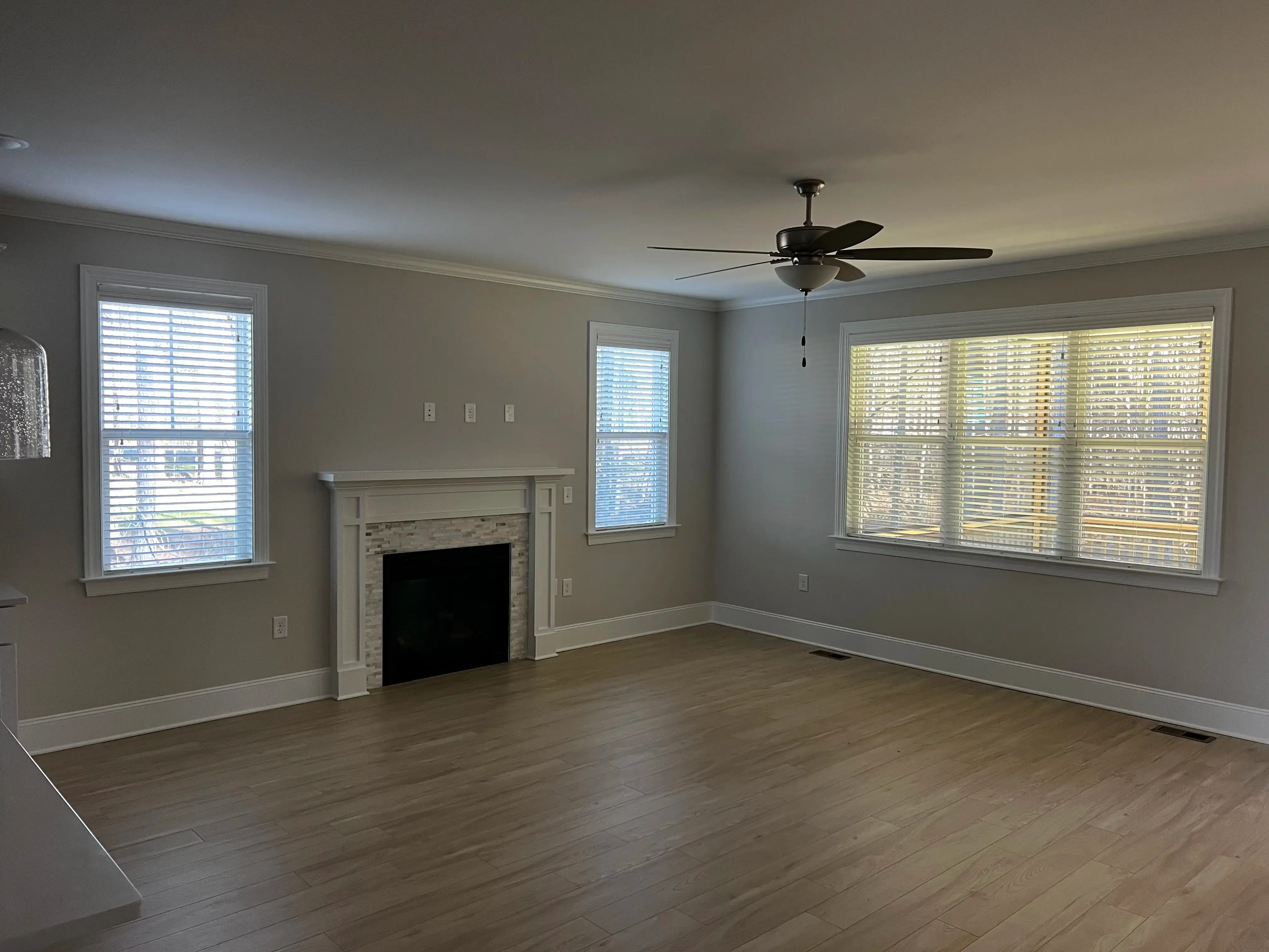 Window Blinds - image 4